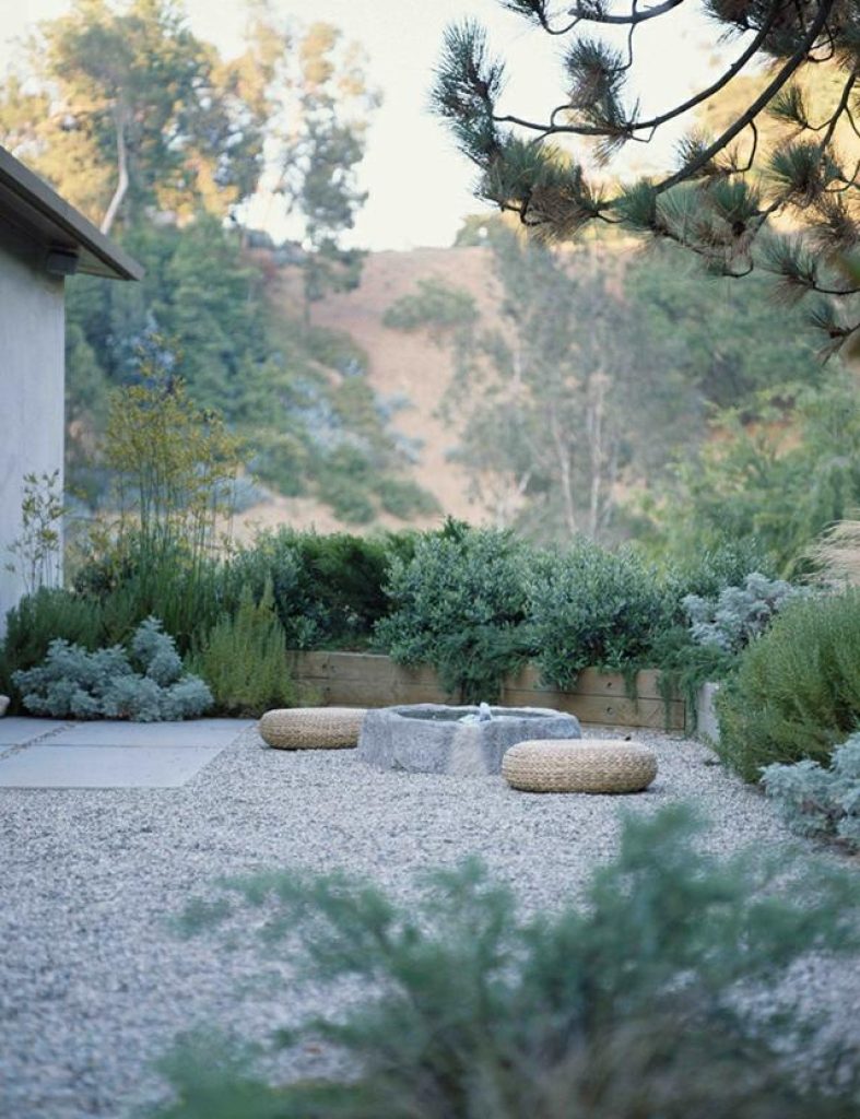 Jardin de rocaille avec des pierres et des plantes succulentes